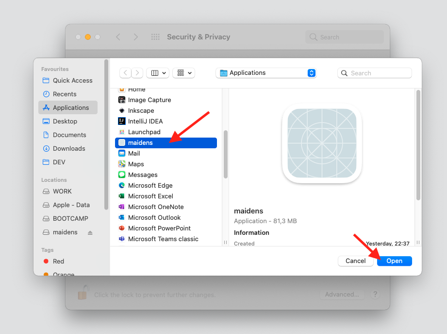 Granting disk access to MAIDENS - 2 of 3